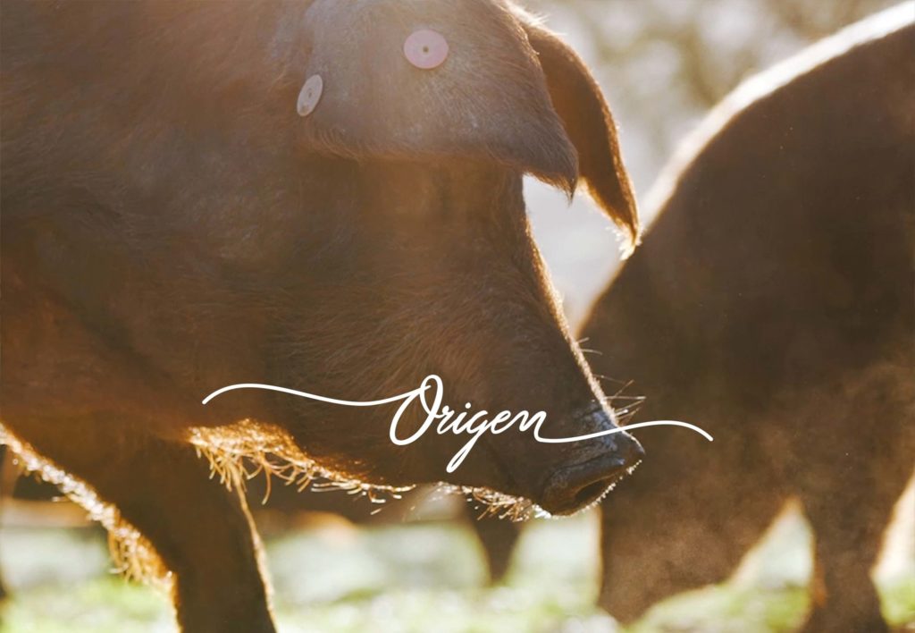 Cartel promocional do primeiro capítulo de Origen, programa de TVE